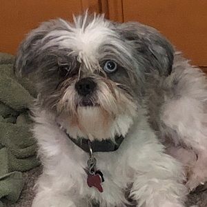 Meet your Posher, Nathaniel